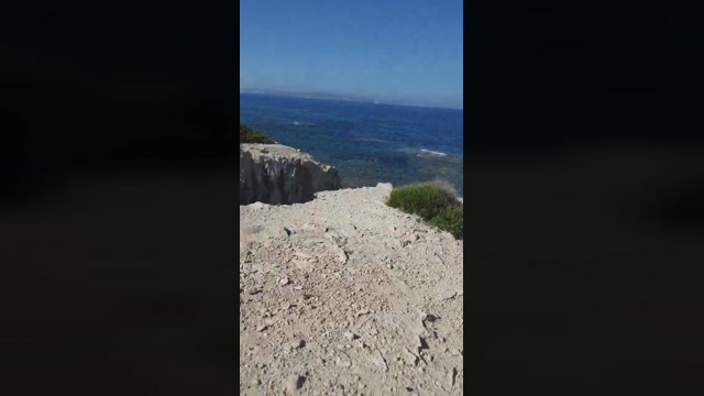 triporxs  06-06-2022